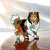 Shetland sheepdog pin av emalj