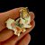 Shetland sheepdog pin av emalj