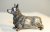 Welsh corgi pembroke minimodell av tenn