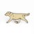 Labrador retriever emaljpin/brosch olika färger K B