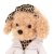 Lucky Fendi Cover Image docka med ram inuti - maltipoo