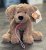 Lagotto gosedjur