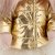 Lucky Yoyo Golden Jacket docka med ram inuti - yorkshireterrier