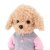 Lucky Fendi Urban Chic docka med ram inuti - maltipoo