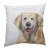 Kudde golden retriever I see you have