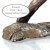 Tax (korthårig) miniatyr av brons limited edition Richard Cooper Bronze