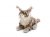 Katt mjukisdjur Maine Coon 25 cm UNI