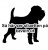 Griffon bruxellois kavel