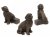 Newfoundlandshund krukfötter 3-pack