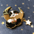 Berner sennenhund emaljpin Over the Moon