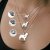 Leonberger personligt halsband 2