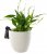 Labrador retriever Pot Buddy 1-pack