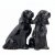 Cocker spaniel salt & pepparkar