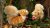 Ekorre mjukisdjur Ginger small Trudi
