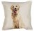 Golden retriever kuddfodral