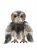 Uggla mjukisdjur 28 cm Wing Commander Swift Charlie Bears