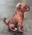 Staffordshire bullterrier mjukisdjur skällande 16 cm Wild Republic