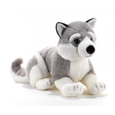 Siberian husky gosedjur