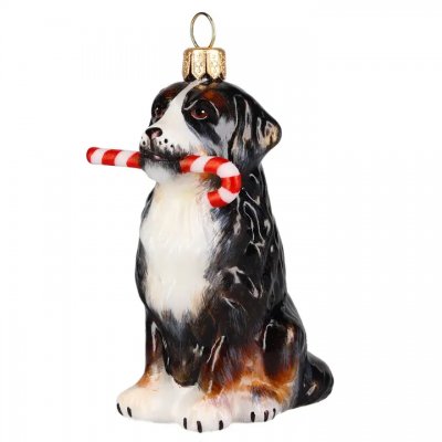 FÖRBESTÄLL! Berner sennenhund julprydnad candy cane