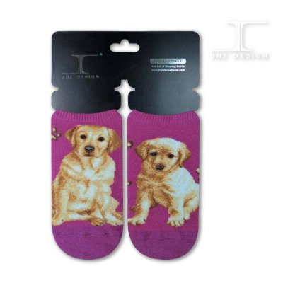 Labrador retriever (gul) ankelstrumpor Masterpiece JHJ