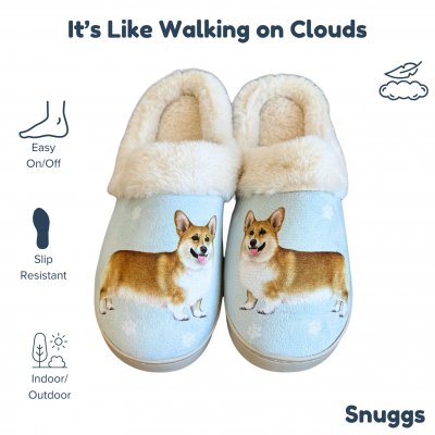 Welsh corgi pembroke tofflor ES
