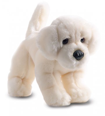Golden retriever mjukisdjur