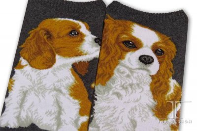 Cavalier king charles spaniel ankelstrumpor strl 40-45 Masterpiece JHJ 2