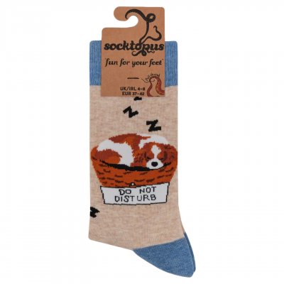 Cavalier king charles spaniel strumpor 2-pack 1 Soctopus