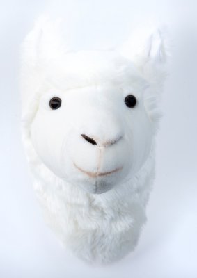 Llamahuvud