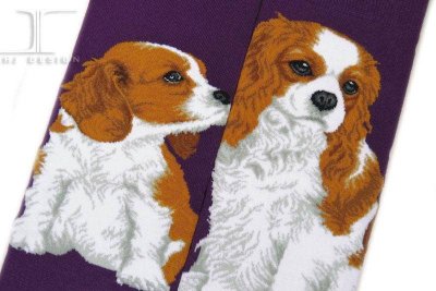 Cavalier king charles spaniel strumpor Masterpiece JHJ