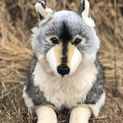 Varg mjukisdjur Alawa Wolf Auswella Limited Edition