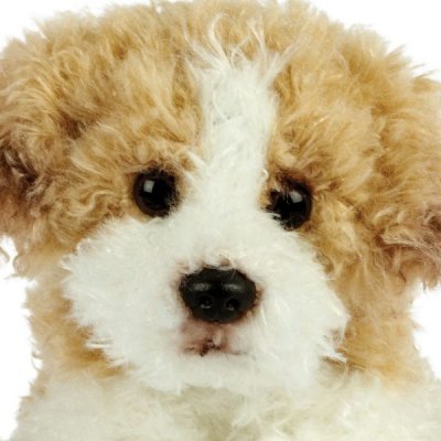 Maltipoo mjukisdjur 12,7 cm Suki