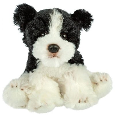 Border collie gosedjur