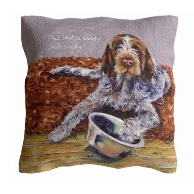 Kudde spinone This bowl is empty. Just saying!