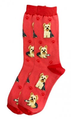 Yorkshireterrier strumpor 1-pack ES 1