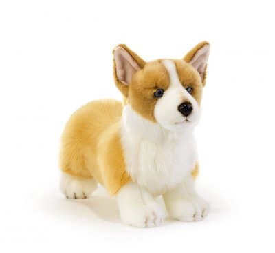 Welsh corgi pembroke mjukisdjur 35 cm från Italien
