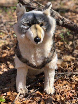 Varg mjukisdjur Maverick wolf Limited Edition
