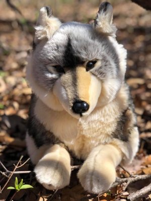 Varg mjukisdjur Alawa Wolf Auswella Limited Edition
