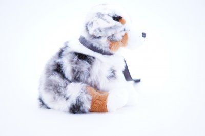 Australian shepherd mjukisdjur med koppel UNI