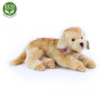 Golden retriever mjukisdjur 32 cm R o