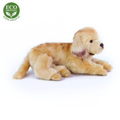 Golden retriever mjukisdjur 32 cm R o