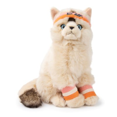 Katt mjukisdjur Dolly the Ragdoll B.T. Chaps