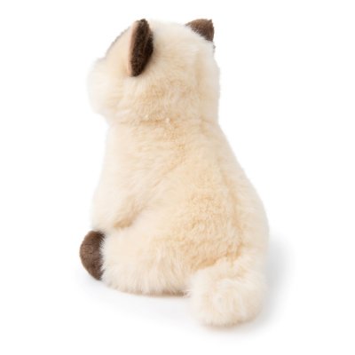 Katt mjukisdjur Eddie the Siamese in giftbox B.T. Chaps