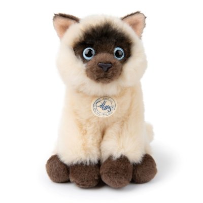 Katt mjukisdjur Eddie the Siamese in giftbox B.T. Chaps