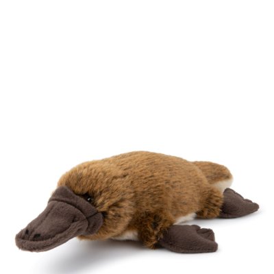 Näbbdjur mjukisdjur Platypus WWF