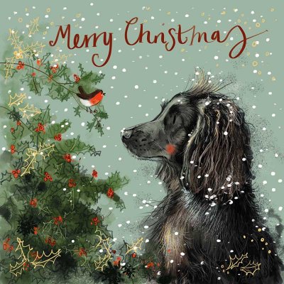 Julkort Alex Clark Spaniel & Holly In the snow at Christmas