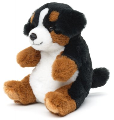 Berner sennenhund mjukisdjur Kawaii Uni