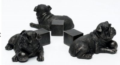 Engelsk bulldogg krukfötter