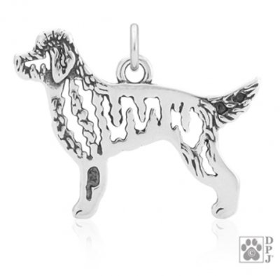 Goldendoodle hängsmycke av silver helfigur