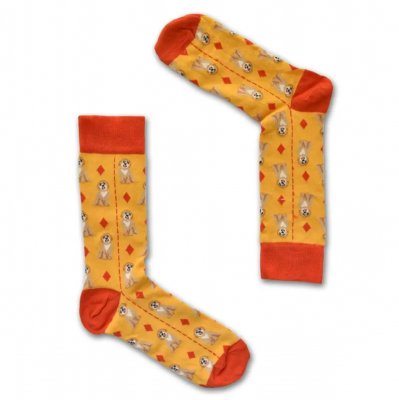 Goldendoodle strumpor 3-pack i presentask 1